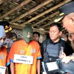 Dua Tersangka pencuri Sapi saat rekontruksi di dusun Panggung Gempol desa Dorogowok kecamatan Kunir kabupaten Lumajang